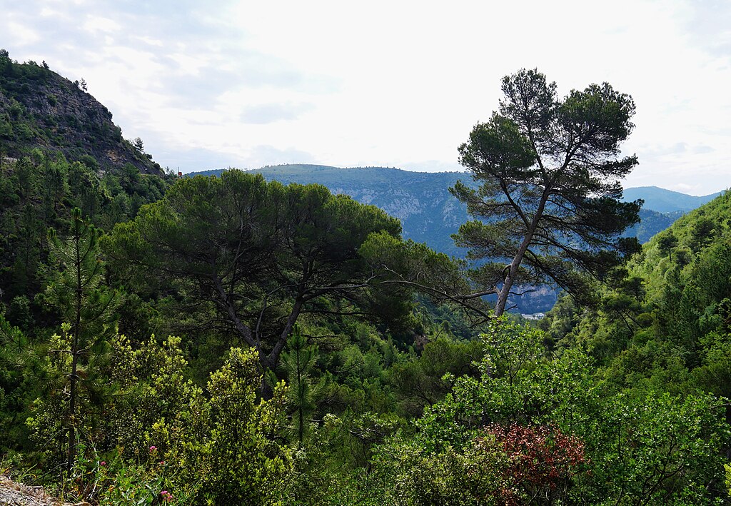 Décrassage ou démoussage de toiture Alpes-Maritimes