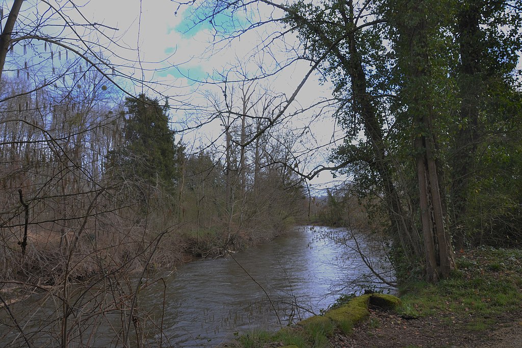 Décrassage ou démoussage de toiture Corrèze