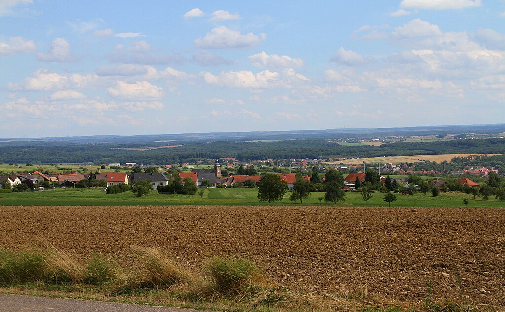 Décrassage ou démoussage de toiture Moselle