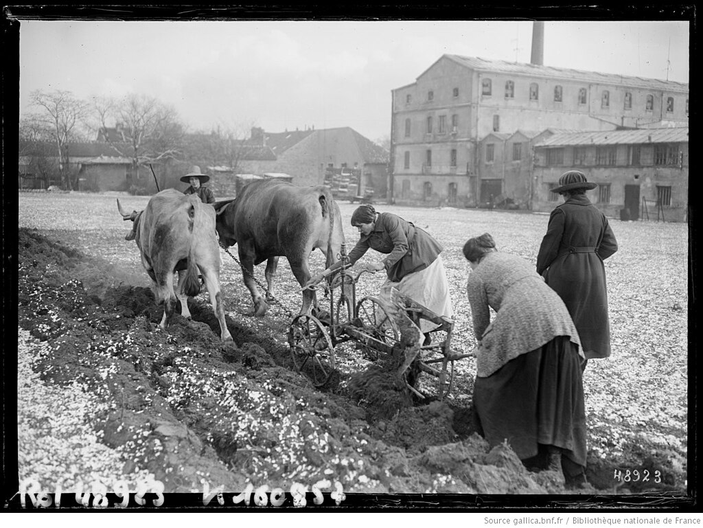 Décrassage ou démoussage de toiture Val-de-Marne