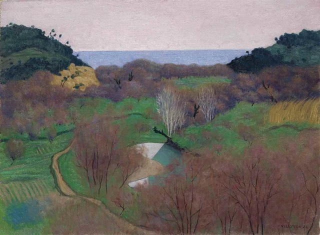 Décrassage ou démoussage de toiture Villeneuve-Loubet