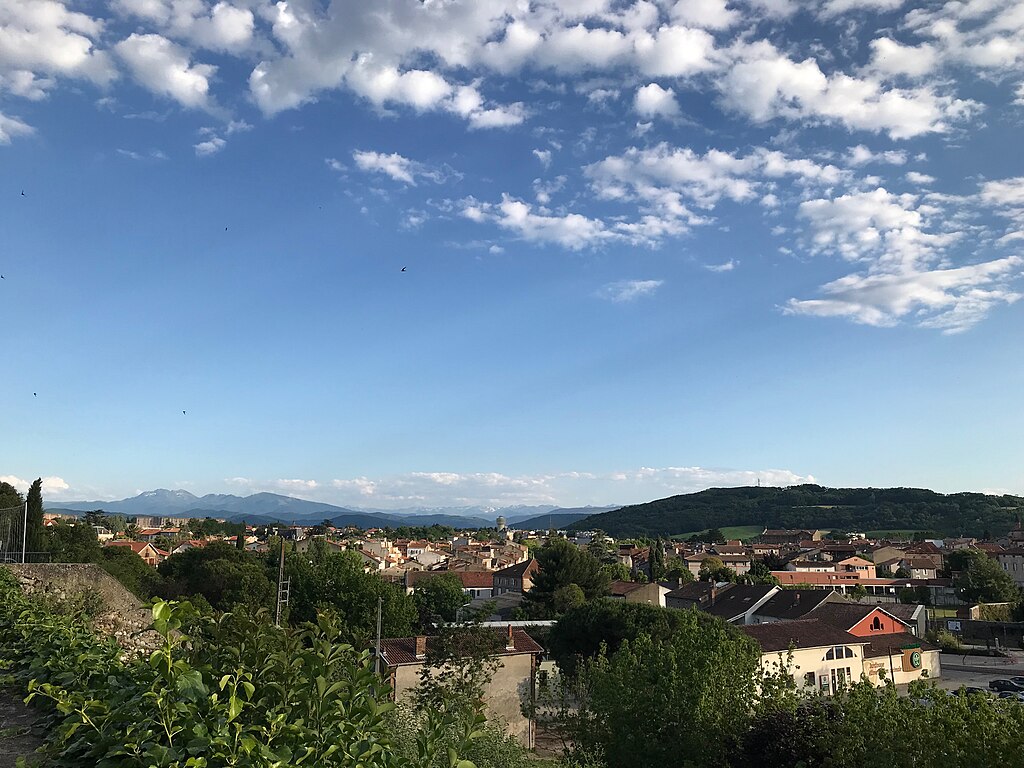 Décrassage ou démoussage de toiture Pamiers