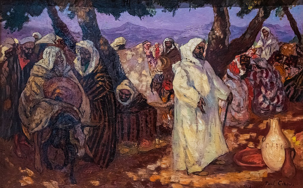 Décrassage ou démoussage de toiture Narbonne