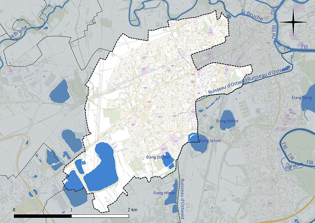 Décrassage ou démoussage de toiture Lingolsheim