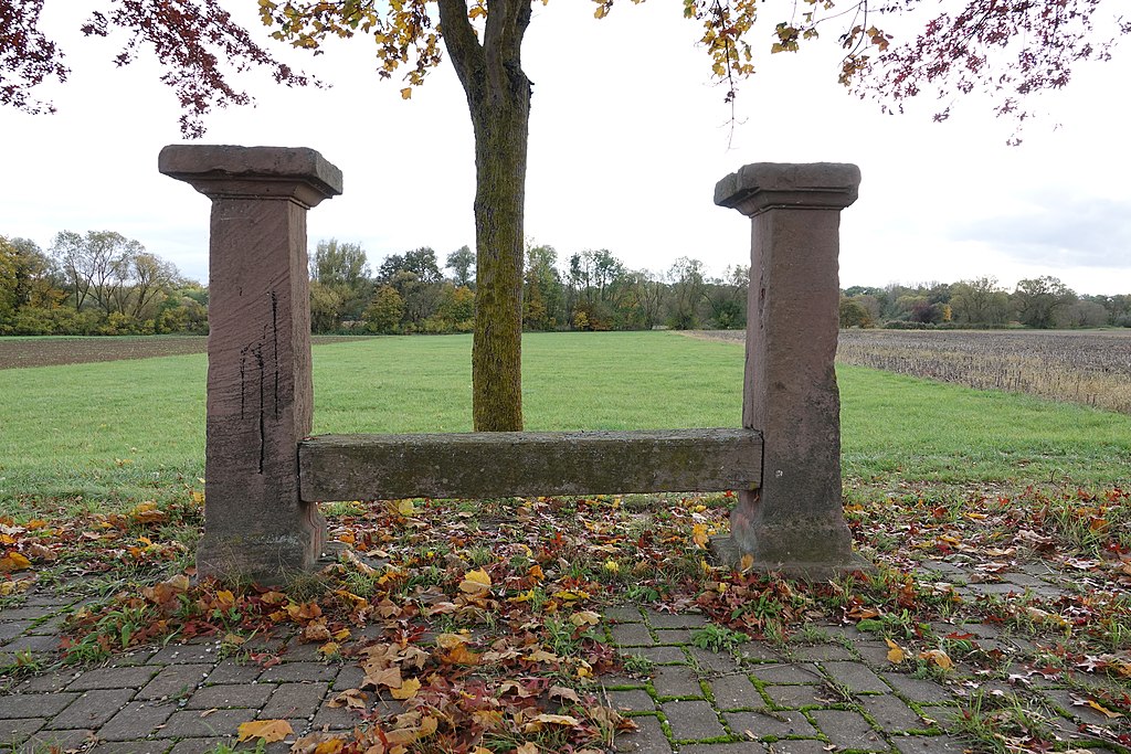 Décrassage ou démoussage de toiture Sélestat