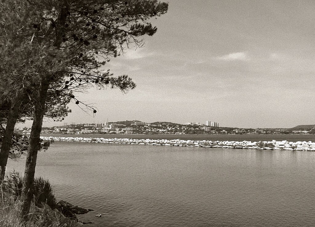 Décrassage ou démoussage de toiture Martigues