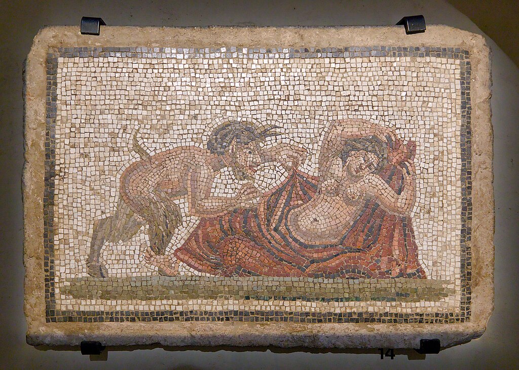 Décrassage ou démoussage de toiture Brive-la-Gaillarde