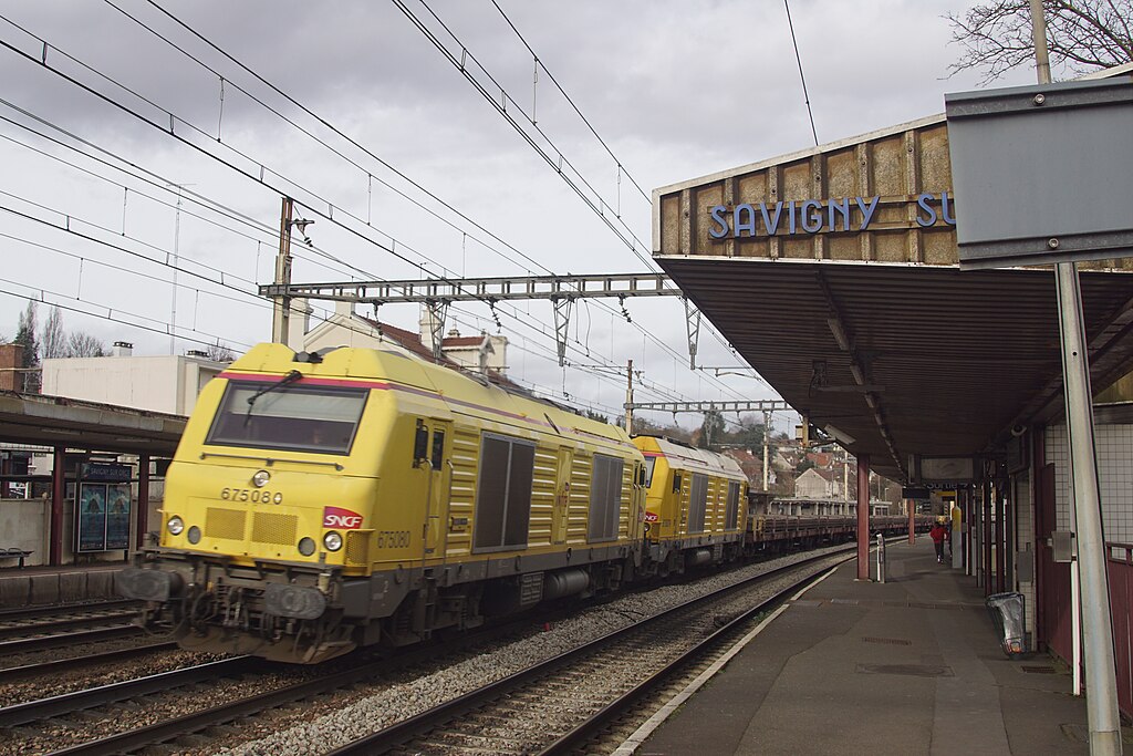 Décrassage ou démoussage de toiture Savigny-sur-Orge