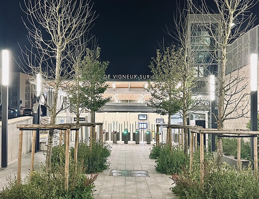 Décrassage ou démoussage de toiture Vigneux-sur-Seine