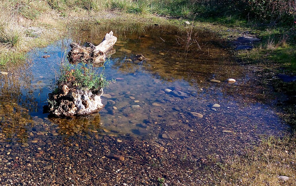 Décrassage ou démoussage de toiture Wittenheim