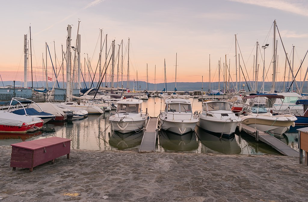 Décrassage ou démoussage de toiture Thonon-les-Bains