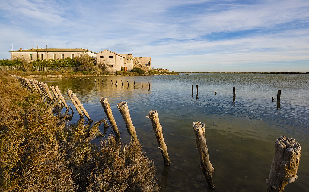 Décrassage ou démoussage de toiture Frontignan