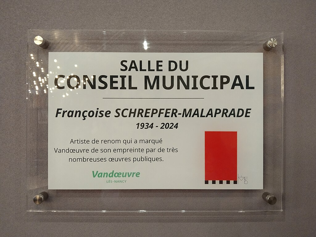 Décrassage ou démoussage de toiture Vandœuvre-lès-Nancy