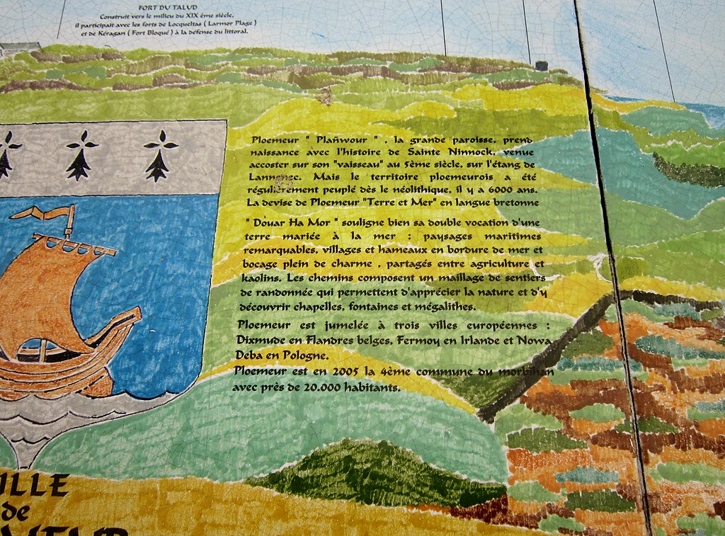 Décrassage ou démoussage de toiture Ploemeur