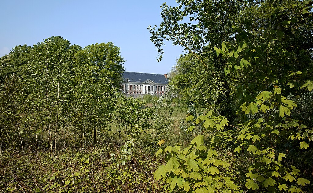 Décrassage ou démoussage de toiture Loos