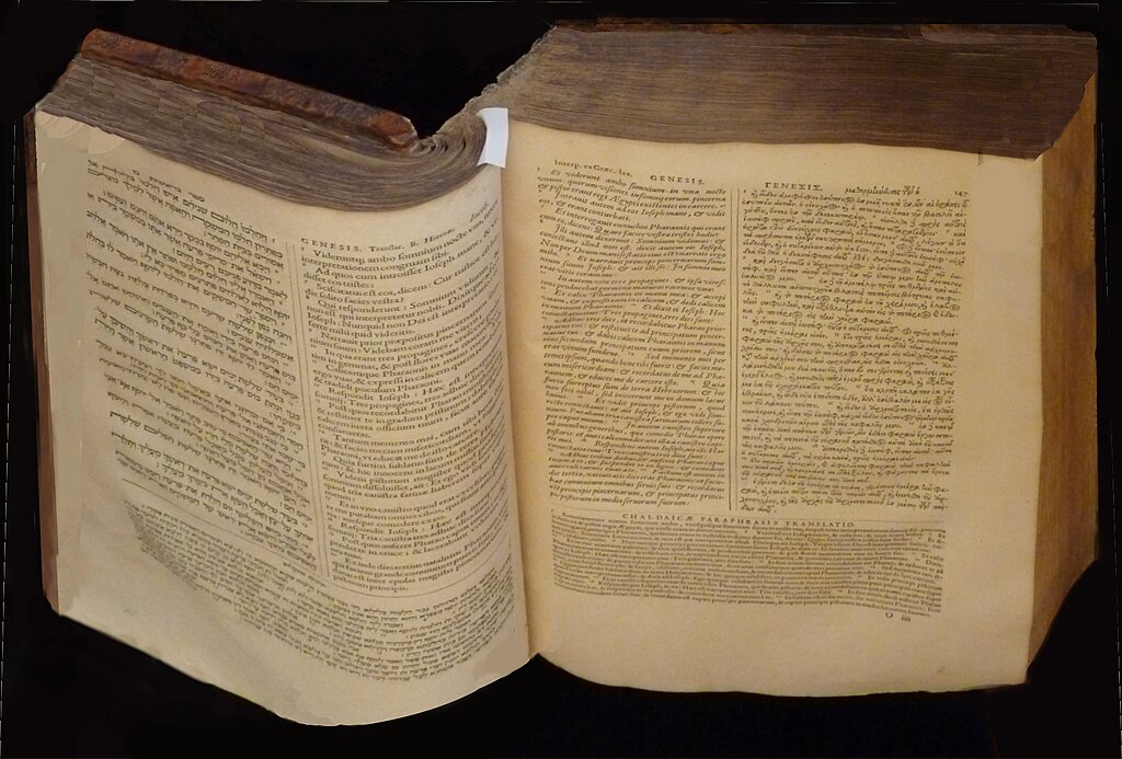 Décrassage ou démoussage de toiture Valenciennes