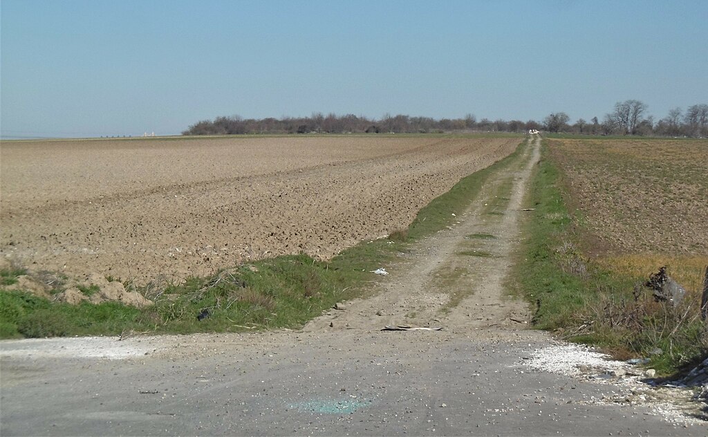 Décrassage ou démoussage de toiture Gonesse