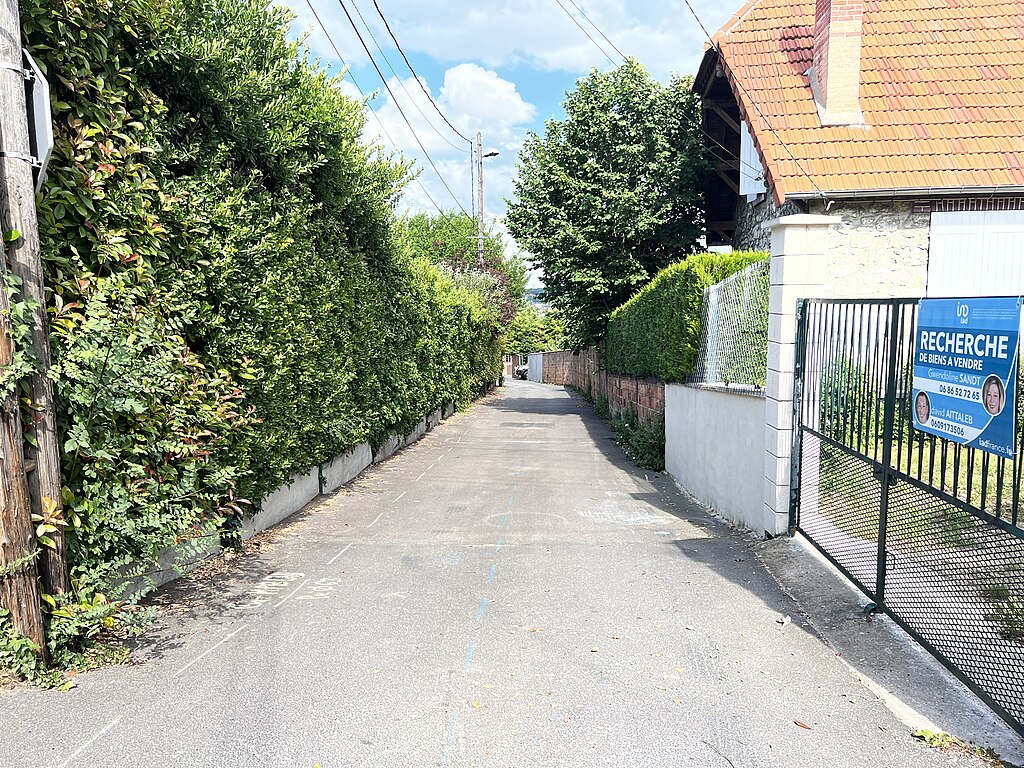 Décrassage ou démoussage de toiture Villeneuve-le-Roi