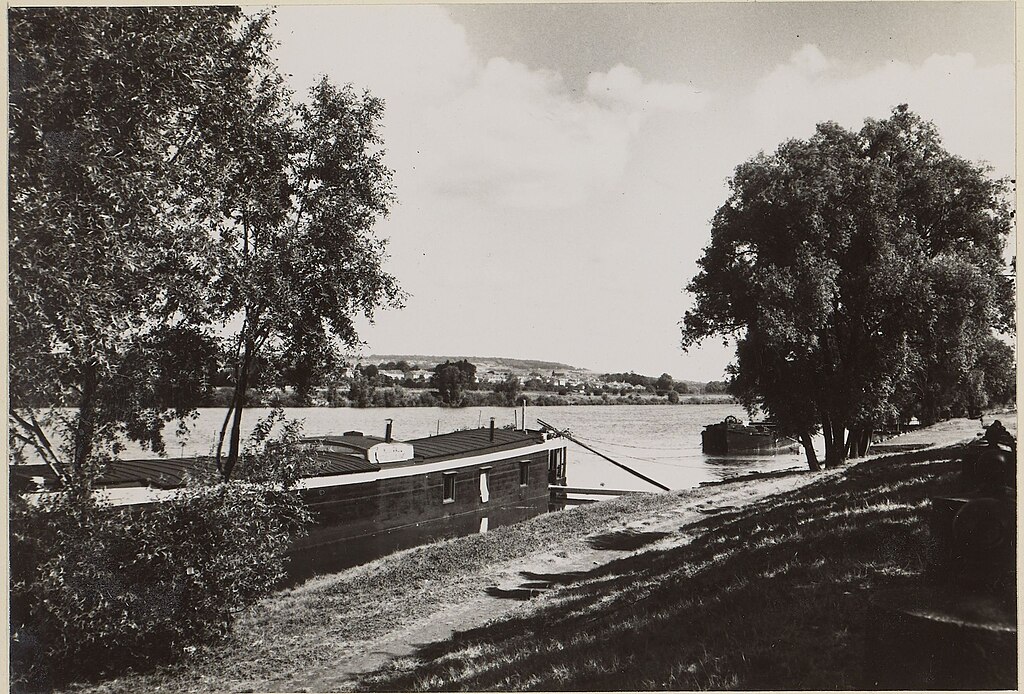 Décrassage ou démoussage de toiture Carrières-sous-Poissy